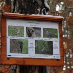 In the footsteps of Felix Vogeli, a walk along Shipka eco-trail