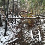 In the footsteps of Felix Vogeli, a walk along Shipka eco-trail