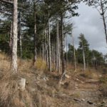 In the footsteps of Felix Vogeli, a walk along Shipka eco-trail