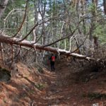 In the footsteps of Felix Vogeli, a walk along Shipka eco-trail