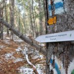 In the footsteps of Felix Vogeli, a walk along Shipka eco-trail